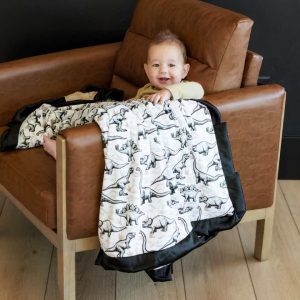 Big Dino Blanket