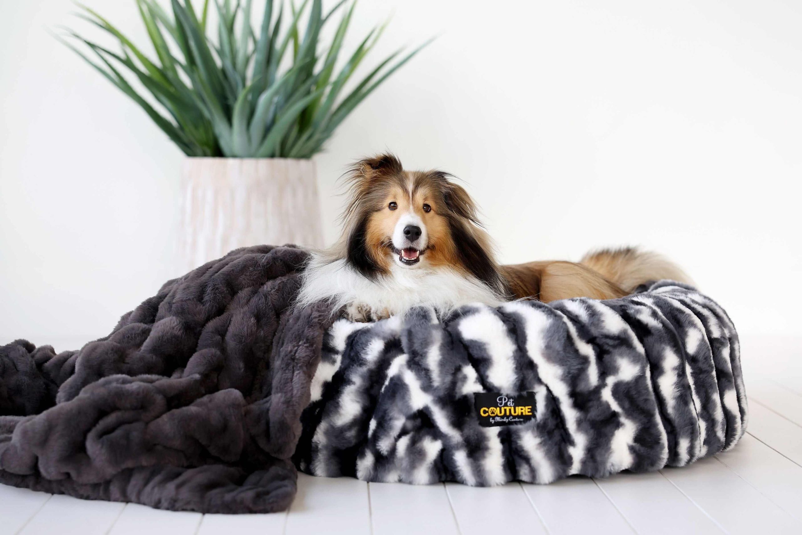 Cloudy Day Black Pet Bed COVER ONLY - Image 3