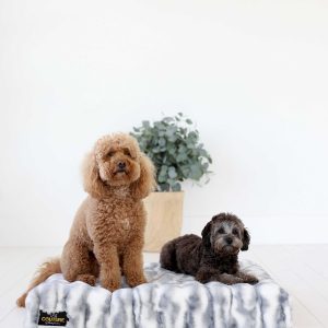 Cloudy Day Blue Pet Crate Pad