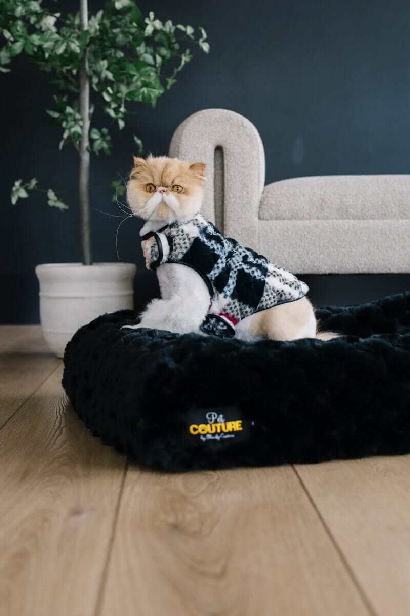 Pet Vest - City Plaid/Cream - Image 2