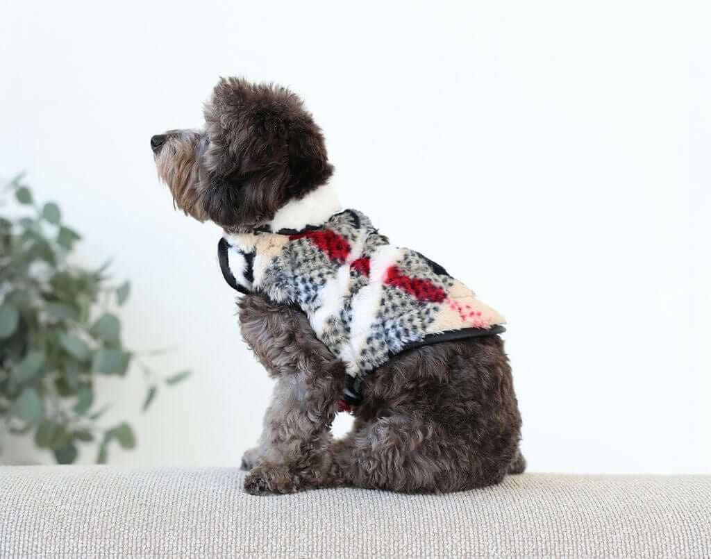Pet Vest - City Plaid/Cream - Image 4