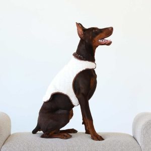 Pet Vest - Cream/Dark Brown
