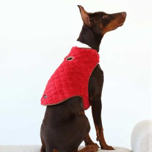 Pet Vest - Red/Cream