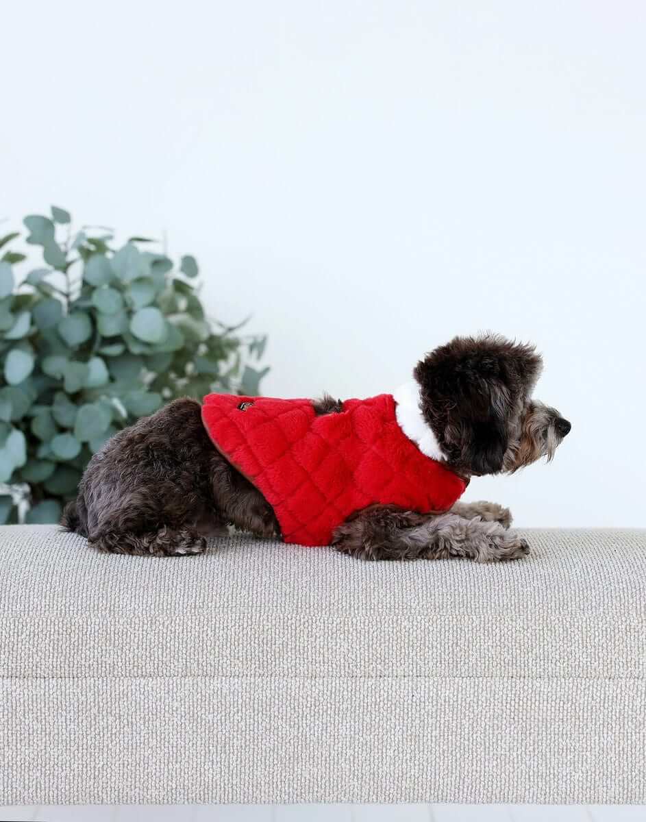 Pet Vest - Red/Cream - Image 3