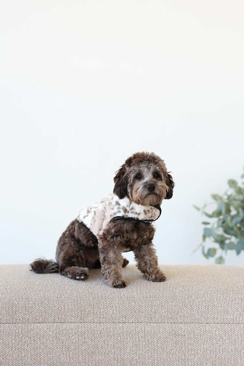 Pet Vest - Sandra/Light Gray