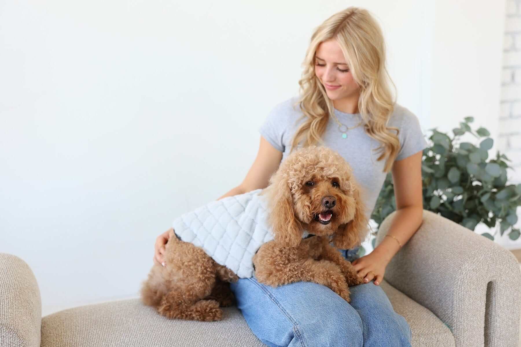 Pet Vest - Sandra/Light Gray - Image 2