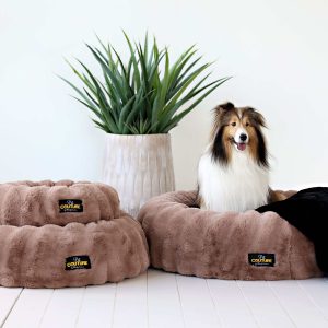 Milk Chocolate Pet Bed