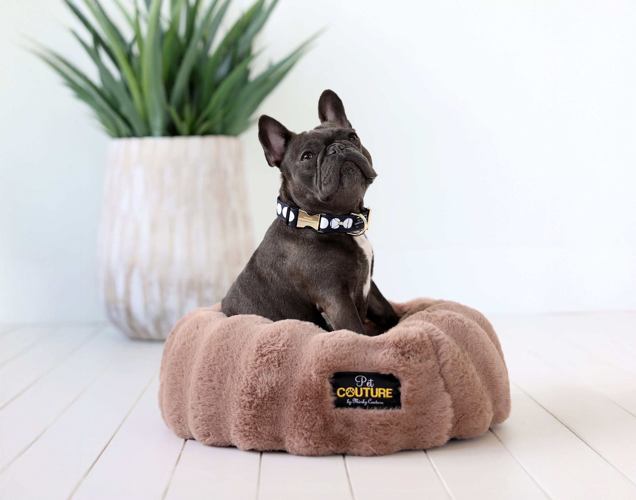 Milk Chocolate Pet Bed - Image 4