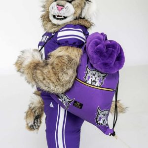 Weber State Wildcats Hooded Stadium Everywhere Blanket